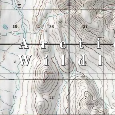 Arctic NWR (ARC-45 - #45 of 73) Preview 2