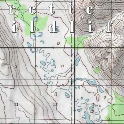Arctic NWR (ARC-46 - #46 of 73) Preview 2