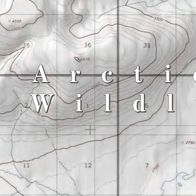Arctic NWR (ARC-48 - #48 of 73) Preview 2