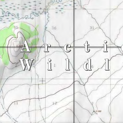 Arctic NWR (ARC-50 - #50 of 73) Preview 2