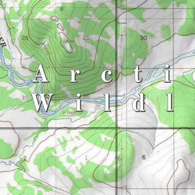 Arctic NWR (ARC-57 - #57 of 73) Preview 2