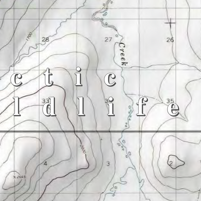 Arctic NWR (ARC-60 - #60 of 73) Preview 2