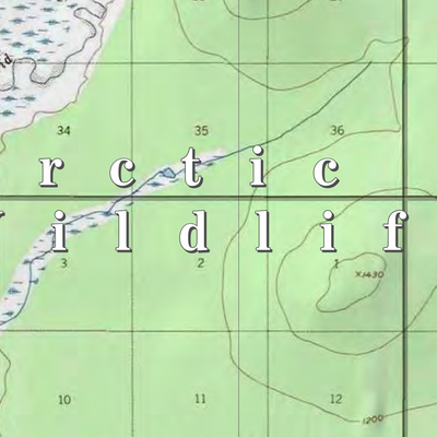 Arctic NWR (ARC-67 - #67 of 73) Preview 2