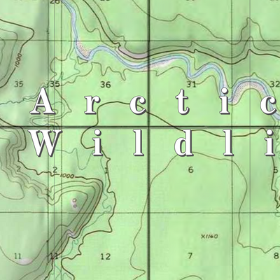 Arctic NWR (ARC-70 - #70 of 73) Preview 2