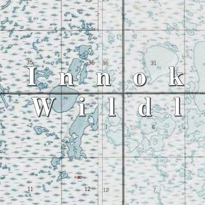 Innoko NWR (INN-17 - #17 of 32) Preview 2