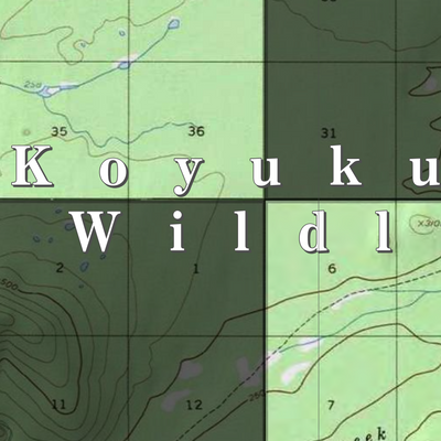 Koyukuk NWR (KUK-12 - #12 of 23) Preview 2