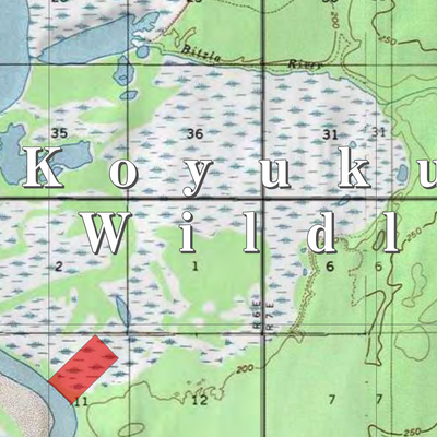 Koyukuk NWR (KUK-17 - #17 of 23) Preview 2
