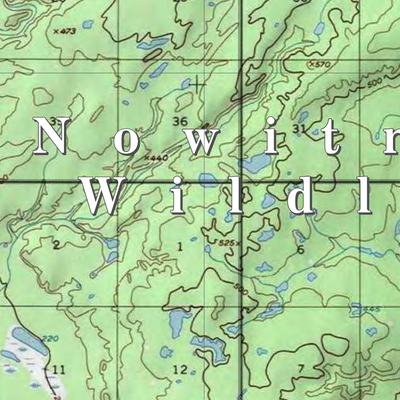 Nowitna NWR (NOW-08 - #8 of 15) Preview 2