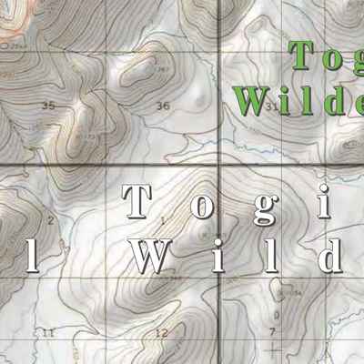 Togiak NWR (TGK-07 - #7 of 24) Preview 2