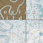 Togiak NWR (TGK-19 - #19 of 24) Preview 2