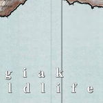 Togiak NWR (TGK-21 - #21 of 24) Preview 2