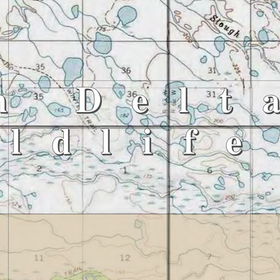 Yukon Delta NWR (YKD-62 - #62 of 93) Preview 2