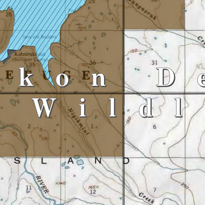 Yukon Delta NWR (YKD-73 - #73 of 93) Preview 2