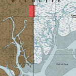 Yukon Delta NWR (YKD-78 - #78 of 93) Preview 3