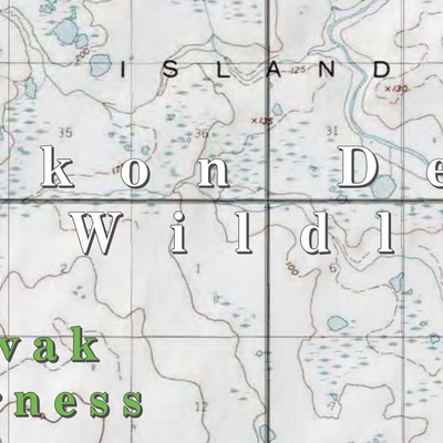 Yukon Delta NWR (YKD-85 - #85 of 93) Preview 2