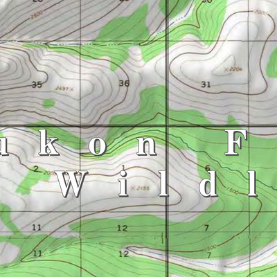 Yukon Flats NWR (YKF-13 - #13 of 48) Preview 2