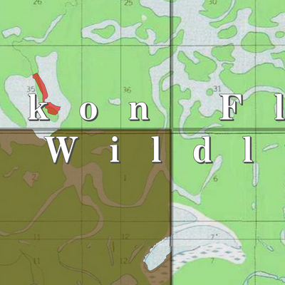Yukon Flats NWR (YKF-18 - #18 of 48) Preview 2