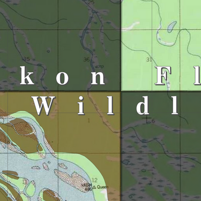 Yukon Flats NWR (YKF-28 - #28 of 48) Preview 2