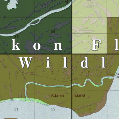 Yukon Flats NWR (YKF-33 - #33 of 48) Preview 2
