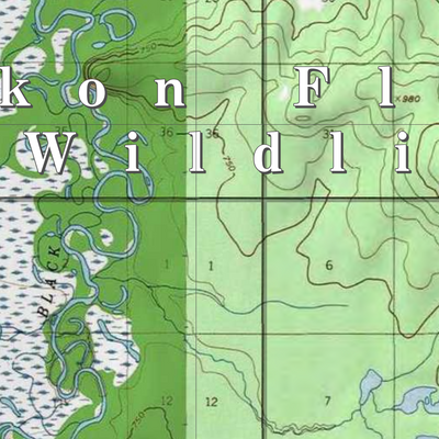 Yukon Flats NWR (YKF-40 - #40 of 48) Preview 2