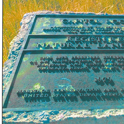 Custer NF - Sioux Ranger District West 2007 Preview 3