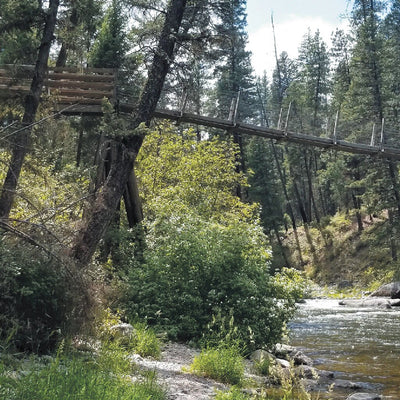 Lolo NF - Welcome Creek Wilderness 2024 Preview 3