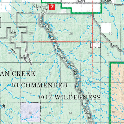 US Forest Service R2 Rocky Mountain Region Buffalo Gap National Grassland Visitor Map (East Half) digital map