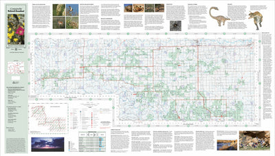 US Forest Service R2 Rocky Mountain Region Comanche National Grassland Visitor Map (East Half) digital map