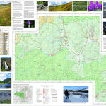 US Forest Service R2 Rocky Mountain Region Rio Grande National Forest Visitor Map - Divide Ranger District (West Half) digital map