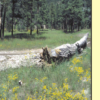 US Forest Service R3 Cibola National Forest, Magdalena Ranger District (South Half) digital map