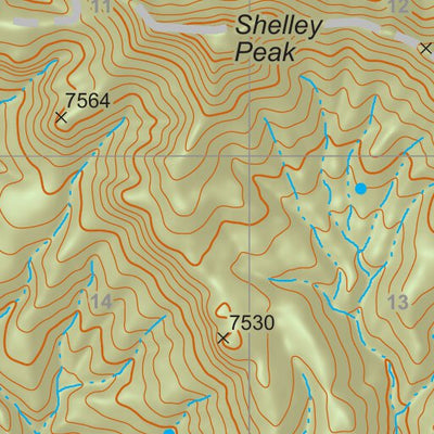 US Forest Service R3 Gila National Forest Quadrangle Map: pg 82 Shelley Peak digital map