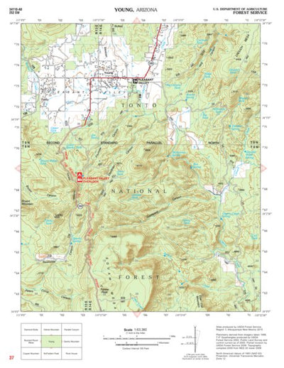 US Forest Service R3 Tonto National Forest Quadrangle: YOUNG digital map