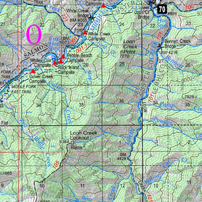 US Forest Service R4 Frank Church-RONR Wilderness South Half Map Salmon-Challis, Payette, Boise NFs 2023 digital map