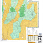 US Forest Service R4 Humboldt-Toiyabe National Forest Tonopah Ranger District East Half 2006 digital map