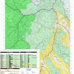 US Forest Service R4 Salmon-Challis National Forest Salmon West Half 2017 NEW 2020 Update digital map