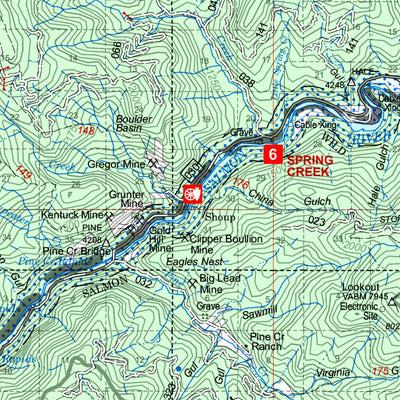 US Forest Service R4 Salmon-Challis National Forest Salmon West Half 2017 NEW 2020 Update digital map