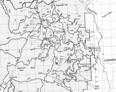 Salmon-Challis NF Salmon-Cobalt RD INSET A Motor Vehicle Use Map 2025 Preview 1