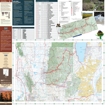 Uinta Wasatch Cache National Forest Visitor Map Logan Ranger District 2025 Preview 1