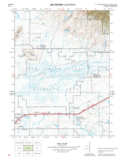 US Forest Service R5 Big Swamp digital map