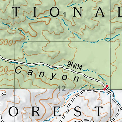 US Forest Service R5 Cuddy Valley digital map