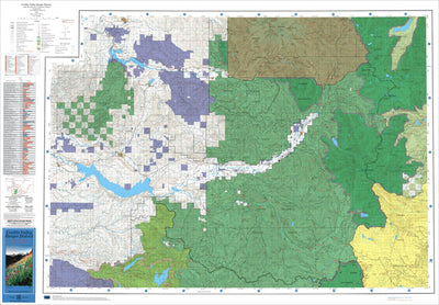 US Forest Service R6 Pacific Northwest Region (WA/OR) Cowlitz Valley Ranger District Map digital map