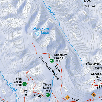 US Forest Service R6 Pacific Northwest Region (WA/OR) Diamond Lake Winter Recreation Map digital map