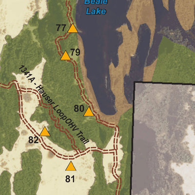 US Forest Service R6 Pacific Northwest Region (WA/OR) Oregon Dunes NRA - South OHV Riding Area - Horsfall - Spinreel digital map