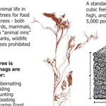 Colville NF - Front of Republic and Three Rivers RD Forest User's Map Preview 3