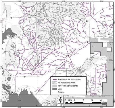 Deschutes NF - Bend Fort Rock RD - Roadside 2 Firewood Map Preview 1