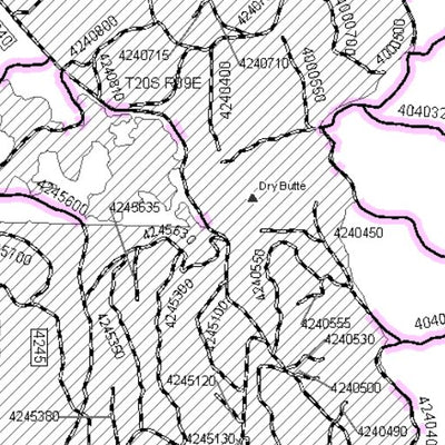Deschutes NF - Bend Fort Rock RD - Roadside 2 Firewood Map Preview 3