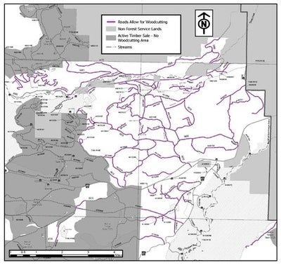 Deschutes NF - Bend Fort Rock RD - Roadside 5 Firewood Map Preview 1