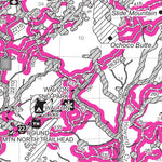 Ochoco NF - Firewood Map - West Side Preview 3