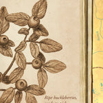 Sweet Home Santiam Wagon Road Santiam Map Preview 3