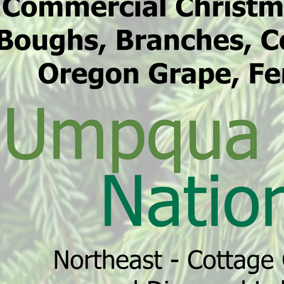 Umpqua NF - Foliage Christmas Tree NE Preview 3